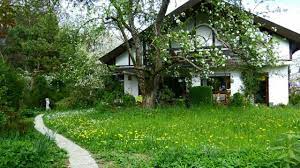 Nu este loc de negociere. Cum SÄƒ ConstruieÈ™ti O CasÄƒ Alegerea Terenului Edifica