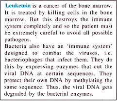 Cell Mediated Humoral Immune Response With Diagram