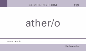 Copy the name and essential bulletpoints from your anatomy notes on the back of each card that you printed. Mosby S Medical Terminology Flash Cards Ankiweb
