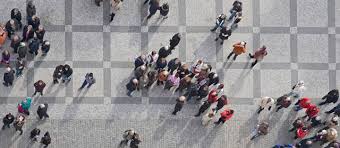 We did not find results for: Travel Agent Tour Operator Stars Hotels