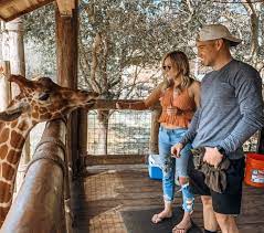 We did not find results for: Jacksonville Zoo Gardens Open Back Up