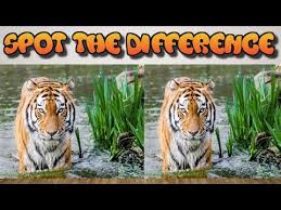 Spot The Difference Puzzle For Kids Easy Puzzles For Children And Adults Youtube Spot The Difference Puzzle Puzzles For Kids Guess The Word Game