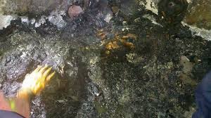 Membujur dari selatan ke utara, bagai dinding kokoh yang menjadi pagar bagi kawasan malang raya. Tengah Tidur Pulas Penghuni Dan Rumahnya Hangus Terbakar Di Gunung Putri Warta Kota