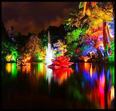 Tsb Bank Festival Of Lights At Pukekura Park Festival Lights New Plymouth Lights
