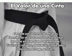 Pin De Alberto Candela En Artes Marciales En 2020 Tecnicas De Taekwondo Taekwondo Cintas Frases De Taekwondo