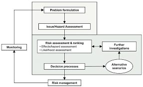Flow Diagram Of The Ecological Risk Assessment Era Process
