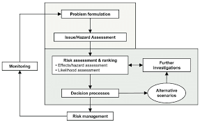 flow diagram of the ecological risk assessment era process