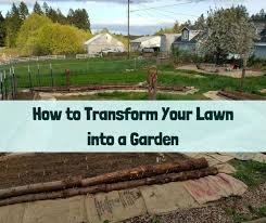 We did not find results for: How To Transform Your Lawn Into A Garden Growing With Nature
