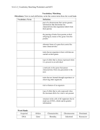This series of worksheets keys in on the prediction of hereditary trait transfer. S 8 2 2 Vocabulary Matching Worksheet And Key Vocabulary