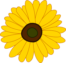 Sunflower clipart bunga matahari plants cartoon png download 1742565 pinclipart. Paling Keren 30 Gambar Bunga Matahari Cartoon Galeri Bunga Hd