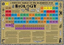 Biology Periodic Table Poster