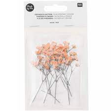 Instead launch orange from anaconda navigator. Made By Me Gepresste Bluten Schleierkraut Orange 8 Stuck