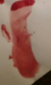 Image result for Lapointe the holy grail name