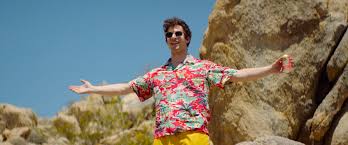 The idea of a mash/palm springs au grabbed me by the throat and wouldn't let me go until i wrote it. Palm Springs Andy Samberg S All Day Aloha Shirt Bamf Style