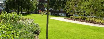 This guide outlines types of lawn borders to help you find the best landscape edging for your yard. Exceledge Shaping The Landscape