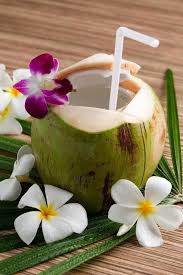 Citations Inspirante Pensee Certitude Confiance Comportement Autorite Environnement Personnalite Motivation Conscience Eau De Coco Coco Frangipanier