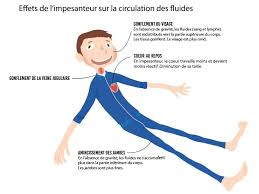 French aerospace engineer, pilot, and astronaut. Toulouse Pour Aider La Science Et Thomas Pesquet Ils Passent 5 Jours Allonges Dans Une Baignoire Actu Toulouse