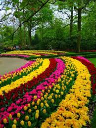 A wide variety of beautiful flower gardens options are available to you, such as usage condition, material, and. Keukenhof Gardens Netherlands Beautiful Gardens Most Beautiful Gardens Beautiful Flowers Garden