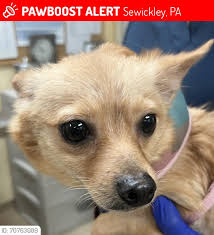 ADOPTED!! Meet Precious....