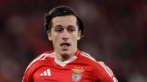 ferland mendy
