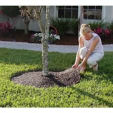 Easy Gardener Products 24 Inch Tree Ring Home Depot Canada Tree Rings Brick Garden Flowering Trees