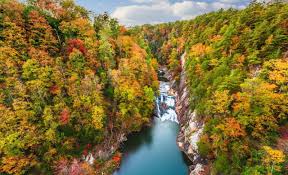 Georgia veterans state park reviews. Georgia State Parks With Full Rv Hookups Cruise America