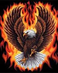 You will receive a pdf file (8 pages): Atomic Mall Flaming Eagle Cross Stitch Pattern Look