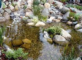 Water Garden Pond And Waterfall Supplies Outdoor Water Features Waterfalls Backyard Natural Pond