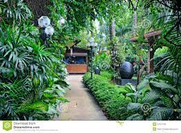 tropical backyard tropical landscaping landscape design