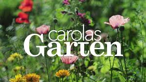 Ein neuer zeitabschnitt beginnt, doch unter. Teaser Zum 360 Panorama Carolas Garten Youtube