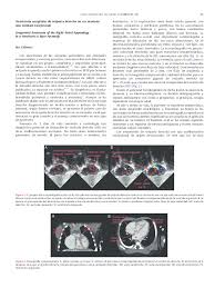 Para su estudio se divide en dos: Pdf Aneurisma Congenito De Orejuela Derecha En Un Neonato Una Entidad Excepcional Jose De Lezo Academia Edu