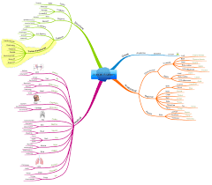 A typical hadoop mapreduce job is divided into a set of map and reduce tasks that execute on a hadoop cluster. Human Anatomy Imindmap Mind Map Template Biggerplate
