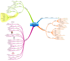 Clickable maps that generate lists of. Human Anatomy Imindmap Mind Map Template Biggerplate