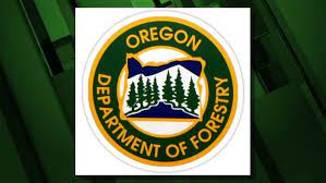Fire statistics for calendar year 2021 situation: Oregon Dept Of Forestry Seeks Input On 2021 Project Plans Ktvz