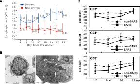 È indispensabile l'utilizzo di un filtro (filtrazione consigliata 15 micron) per proteggere la valvola c2 c1 it is necessary a filter use to protect the valve (advised. Covid 19 And The Heart Circulation Research
