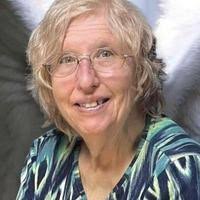 Donna Lee Heid Obituary (2024)