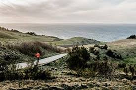 Holiday Home Areas In Denmark Feriepartner