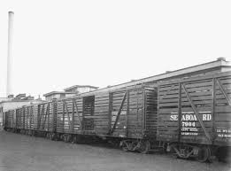 Image result for cattle cars