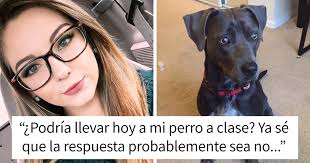 Esta chica le pidió a su profesor poder llevar a su perro a clase para  evacuar por el huracán, su respuesta triunfa en internet