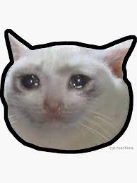 images?q=tbn:ANd9GcShTlA6-YB0JlfbYXmwymm