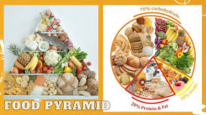 Your kidneys are powerful filtration systems that remove toxins from your blood to keep you healthy. Food Pyramid A Healthy Lifestyle Fundacionhenrydunant Org