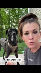 Harness for Great Dane