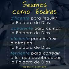 Les Feldick Bible Study Daily Online Video Bible Study Daily Bible Study Bible Study Daily Bible