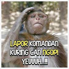 Menakjubkan 30 Gambar Dp Lucu Ngopi Dulu Koleksi Gambar Lucu Gambar Lucu Cartoon Jokes Meme Lucu