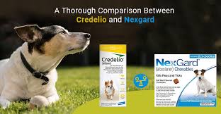 Study to be a doctor in your. Credelio Vs Nexgard Similaties Differences Budgetvetcare