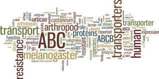From a solitary application to weekly services, the team can plan an assistance program for your places. The Abc Gene Family In Arthropods Comparative Genomics And Role In Insecticide Transport And Resistance Sciencedirect