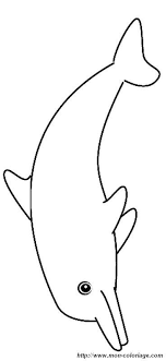 Ausmalbild Mein Freund Der Delfin Mein Freund Der Delfin Ausmalen Ausmalbilder
