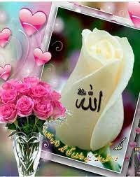 سبحان الله العظيم الذي علم كل شيء صلاتهم وتسبيحهم ولكن لا نفقه تسبيحهم صدق الله العظيم ومعنى ذلك أن كل شىء فى الكون يسبح الله حتى الجماد يعن cicek allah guller