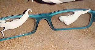 Tired Of Scratches On Your Eyeglasses Here Are 10 Cool Ways To Remove Them For Good Home Delicious Scratched Glasses Fix Scratched Glasses Clean Glasses