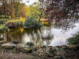 Het henschotermeer is een dagrecreatie terrein en het is dan ook niet toegestaan om, zonder ontheffing, het henschotermeer te gebruiken voor fotoshoots (loveshoot, huwelijksaanzoek. Photo Shoot Location Ponds Of Woluwe Park Of Woluwe Pure Life Fotografie
